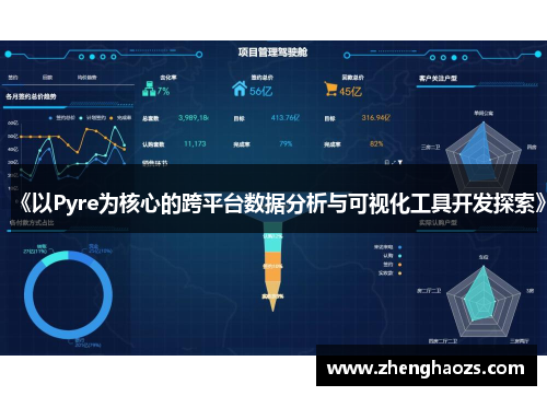 《以Pyre为核心的跨平台数据分析与可视化工具开发探索》