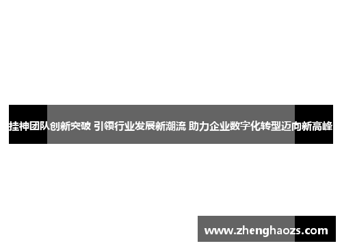 挂神团队创新突破 引领行业发展新潮流 助力企业数字化转型迈向新高峰