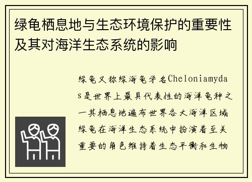 绿龟栖息地与生态环境保护的重要性及其对海洋生态系统的影响